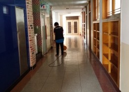 학교 u l v 소독