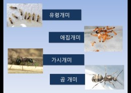 방역시스템