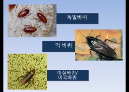 방역시스템