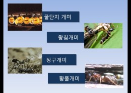 방역시스템