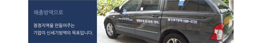 차량
